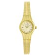 Titan Quartz Analog Champagne Dial Metal Strap Watch for Women - image number 0