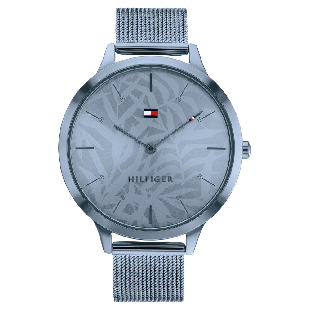 Tommy hilfiger ladies cheap watches blue strap
