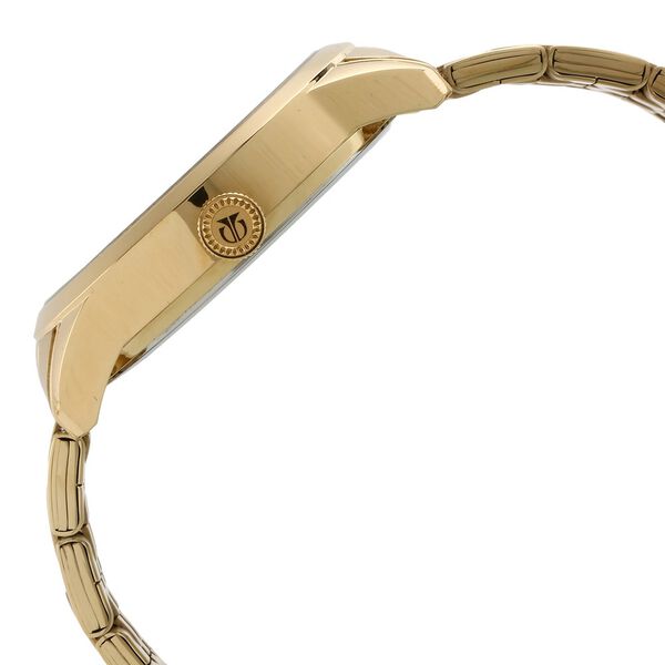Titan Regalia Sovereign Regalia Sovereign Champagne Dial Analog with Date Stainless Steel Strap Men - image number 2