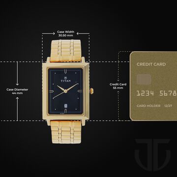 Titan Quartz Analog with Date Black Dial Stainless Steel Strap Watch for Men