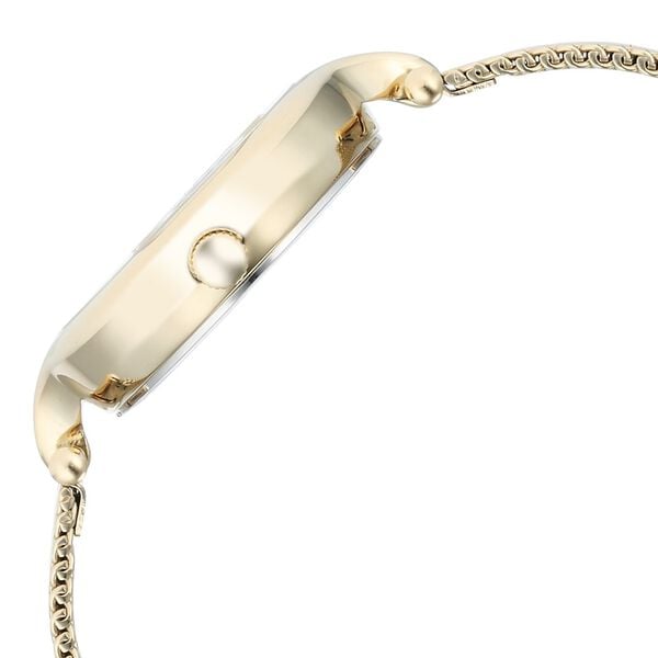 Titan Raga Showstopper Quartz Analog Silver Dial Golden Metal Strap Watch For Women - image number 3