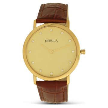 Titan Nebula Vintage 18k Gold Analog Diamond Studded Dial Leather Strap Watch for Men