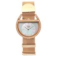 Titan Raga Unlocked Quartz Analog Mother Of Pearl Dial Rose Gold Stainless Steel Strap Watch For Women - image number 0