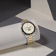 Titan Quartz Multifunction Champagne Dial Stainless Steel Strap watch for Men