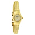 Titan Quartz Analog Champagne Dial Metal Strap Watch for Women - image number 1