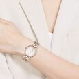 Anne Klein Quartz Analog Silver Dial Two Toned Metal Strap Watch For Women - image number 4