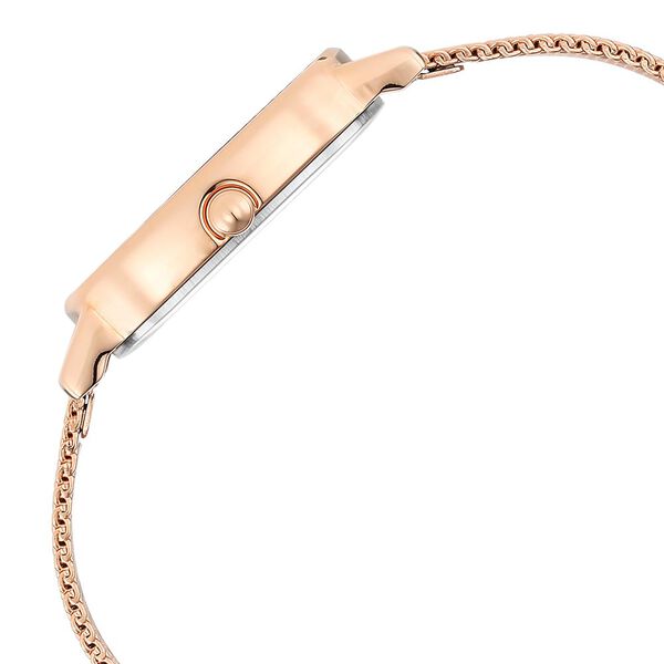 Titan Raga Viva Brown Dial Analog Stainless Steel Strap Watch for Women - image number 4
