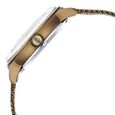 Titan Automatic Color Upgrade Green Dial Green Stainless Steel Strap Watch For Men - image number 4