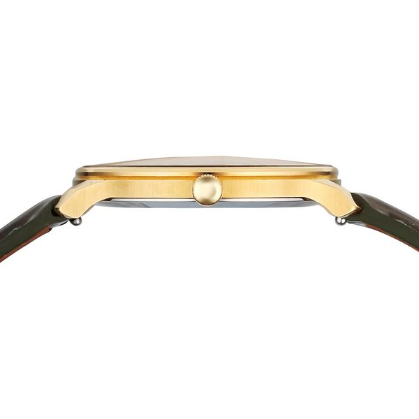 Titan Nebula Lustre 18 KT Gold Quartz Analog 18KT Gold Dial Leather Strap Watch For Women - image number 5