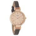 Titan Raga Viva Rose Gold Dial Analog Leather Strap watch for Women - image number 1
