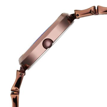 Titan Raga Chic Mother Of Pearl Dial Analog Metal Strap Watch for Women