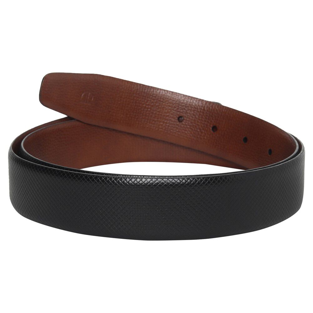 Titan Black & Brown Leather Belt for Men | TITAN WORLD | Abu Highway ...