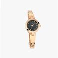 Titan Quartz Analog Silver Dial Golden Metal Strap Watch For Women