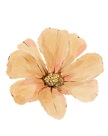 Flower Graphic