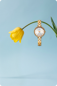 Season’s Must Haves