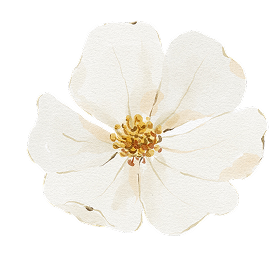Flower Top
