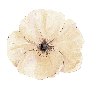 Flower Decoration