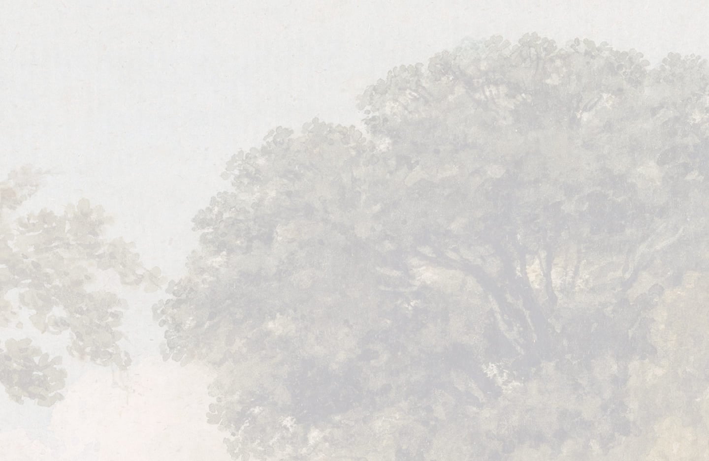 Background Texture