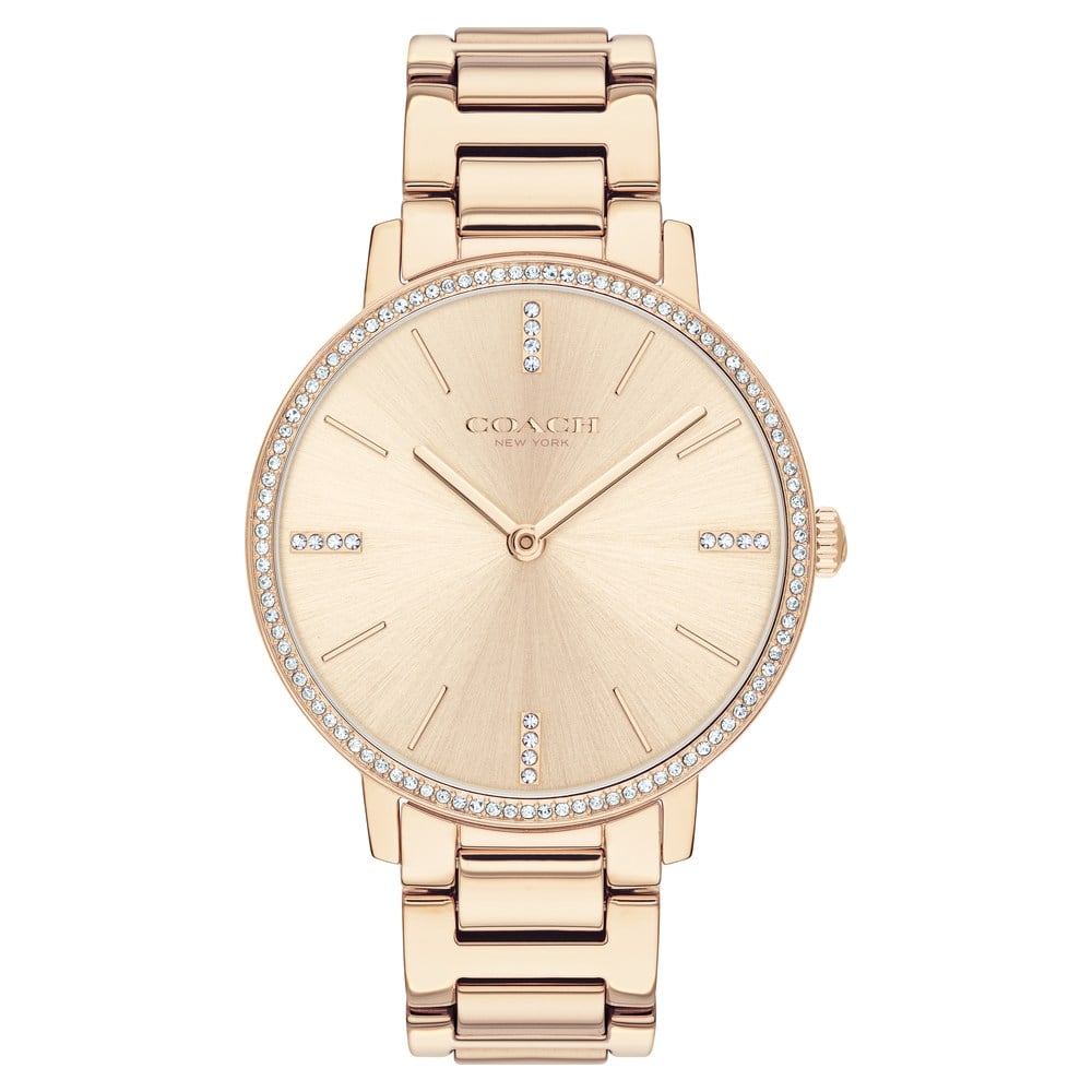 Buy Online Coach Watch for Women neco14503354w Titan